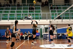 85255.webp