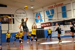 8567.webp