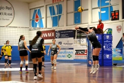 8965.webp