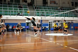 9635.webp