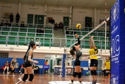 965325.webp