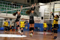 98654.webp