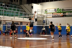 99632587.webp