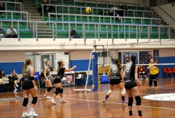 998565.webp