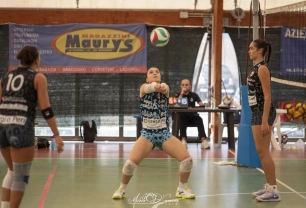 dsc6000.webp