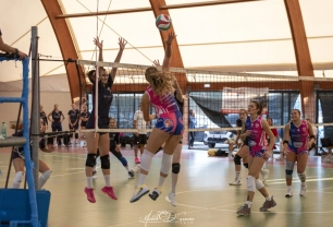 dsc6393.webp
