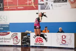 _mg_6286-3.webp