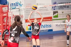 _mg_6810-3.webp