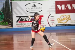 _mg_6839-3.webp