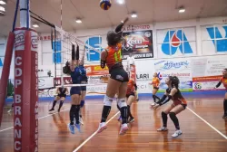 mg_0285.webp