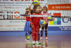 mg_3818.webp