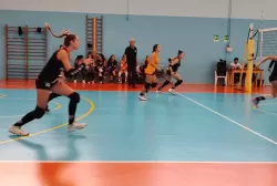 1665919426788.webp