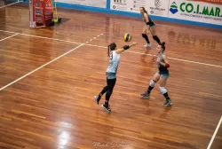 dsc_1557.webp