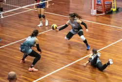 dsc_1771.webp