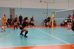 1665919426729.webp