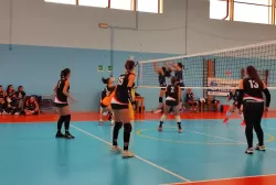 1665919426911.webp