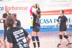 mg_8538.webp