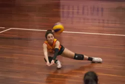 mg_2317.webp