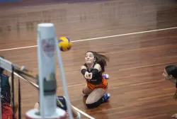 mg_3351.webp