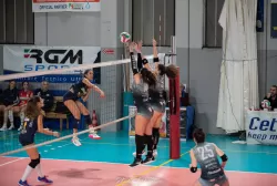 dsc_7223.webp