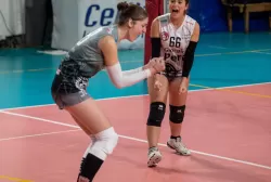 dsc_7441.webp