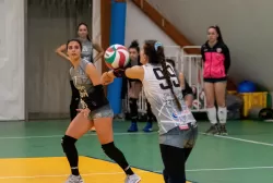 897.webp