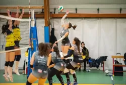 dsc_8621.webp