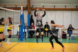 dsc_8622.webp