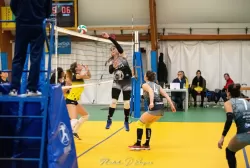 dsc_8634.webp