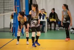 dsc_8640.webp