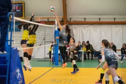 dsc_8654.webp