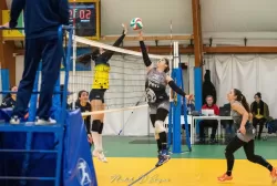 dsc_8656.webp