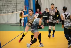 dsc_8684.webp