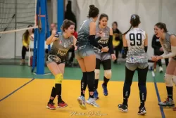 dsc_8686.webp