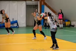 dsc_8706.webp