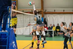 dsc_8713.webp