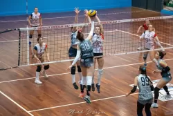 dsc_8781.webp