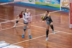 dsc_8847.webp