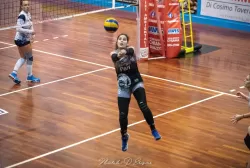 dsc_8857.webp