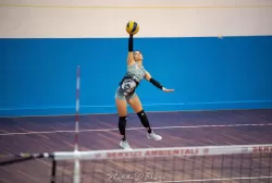 dsc_8908.webp