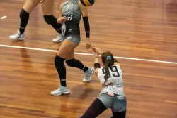 dsc_8985.webp