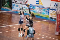 dsc_9018.webp