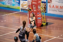 dsc_9050.webp