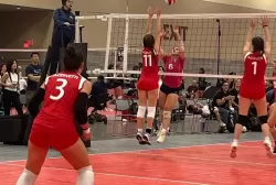 347265238_740073944784918_7048018403101515592_n.webp