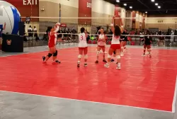 347400323_738578168267829_6371785754443876729_n.webp