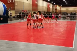 347430246_738578278267818_6188596159002379772_n.webp