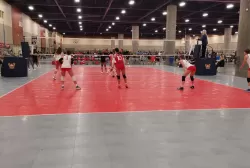 347450555_738578298267816_9075492548806800217_n.webp