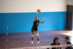 dsc_7899.webp
