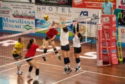 dsc_7953.webp