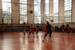 381660146_798667635592215_6030561955597910661_n.webp